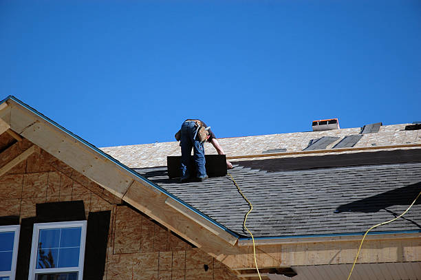 Best Metal Roofing Contractor  in St Leo, FL
