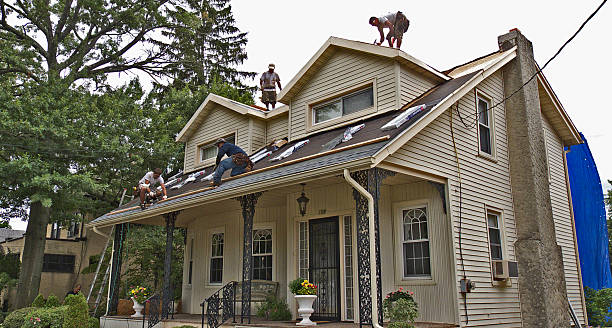 Quick and Trustworthy Emergency Roof Repair Services in St Leo, FL