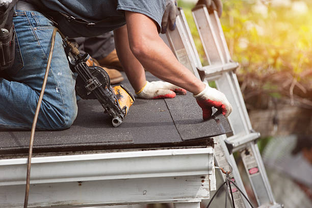 Best Gutter Installation and Roofing  in St Leo, FL