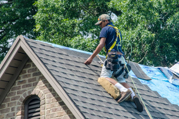 Quick and Trustworthy Emergency Roof Repair Services in St Leo, FL